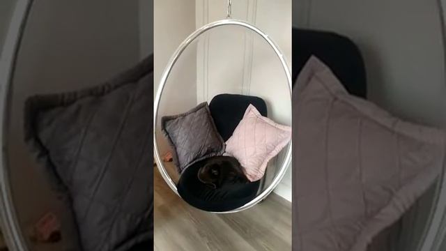 Кресло подвесное из орстекла (яйцо) смотреть онлайн