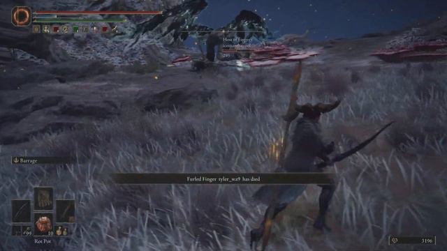 ELDEN RING, DeathBird 1v1 with Host смотреть онлайн