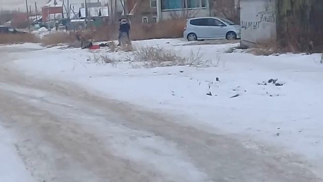 Трэш!! Мопед + санки= угар смотреть онлайн