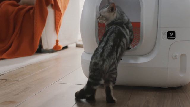 Автоматический лоток PETKIT Pura Max смотреть онлайн