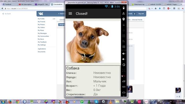 Animal Shelter - "список животных в приюте" с фрагментами смотреть онлайн