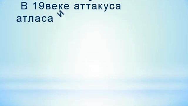факты про бабочек смотреть онлайн
