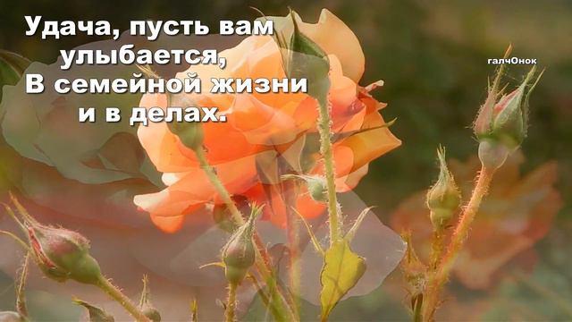 Хорошего дня, удачи, счастья, нежных слов,