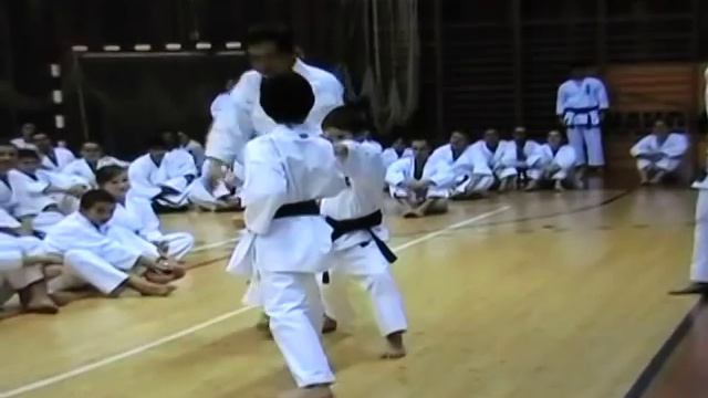 kancho Hirokazu Kanazawa 10th Dan Karate Shotokan - seminar S.K.I.F. in Czech Republic 2007 смотреть онлайн