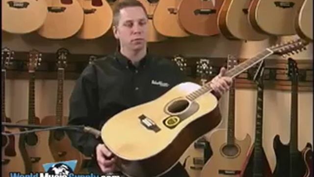 Washburn Acoustic 12-String Guitar D10S12 Demo