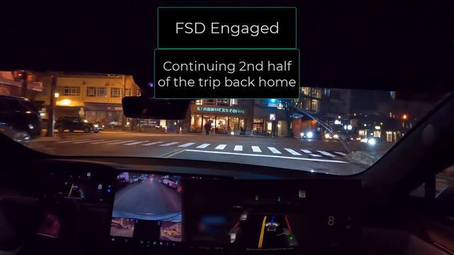 Tesla Plaid FSD Beta V10.9 Car Pulls Itself Out!! Dog Visuals!! Amazing Second Experience!!