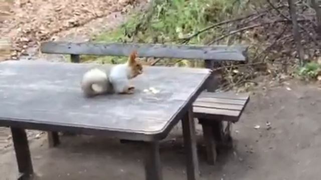 Купание Святой ключ смотреть онлайн