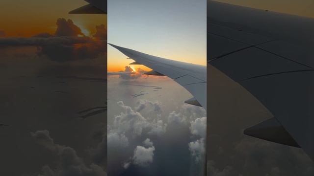 Летим на Мальдивские острова ?? #Мальдивы #а4 #самолет смотреть онлайн