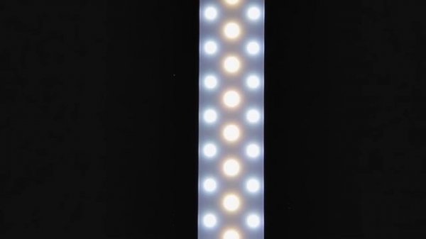 Настольная лампа с часами Artstyle TL-209. Видеообзор