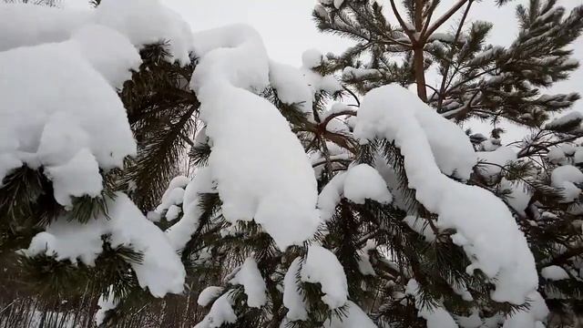 Где покататься на лыжах во Владимире смотреть онлайн