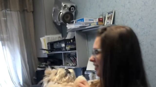 Говорящая собака