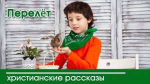 Детский христианский рассказ Перелёт