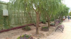 Пансионат НИКО часть 2