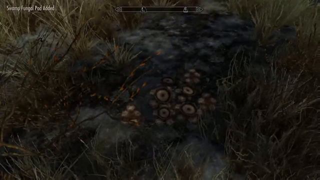 The Making of a Mage Episode Eleven - Picking Flowers смотреть онлайн