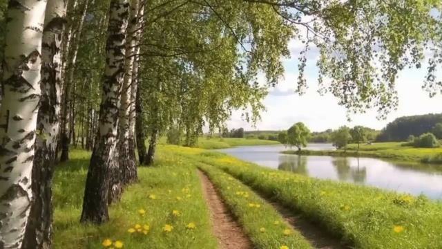 Откуда на душе тревога? Если вроде все хорошо. Святитель Феофан Затворник. смотреть онлайн