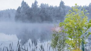 ЗА СИНИМИ ТУМАНАМИ