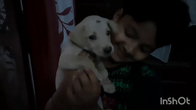 Manan ko lga Coco bht pyara🥰 | Vlog 81 | Chandra bisht смотреть онлайн