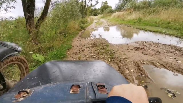 Поход в грибы, Леонполь. смотреть онлайн