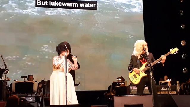 Derek Smalls - Lukewarm Water Live! 11/6/19 смотреть онлайн