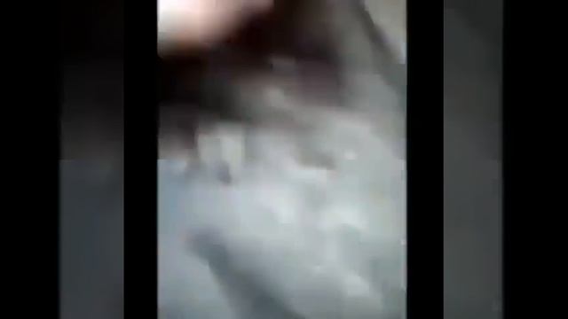 Курва бобэр смотреть онлайн