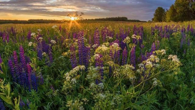 887. ♫.Людмила Зыкина- "Вязаный жакет",1967,муз.А. Долуханян, слова Н. Доризо 09-08-2024 смотреть онлайн