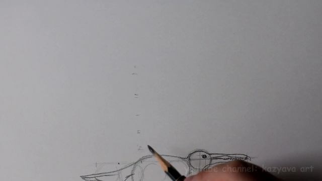 Как нарисовать Пелагорниса карандашом поэтапно смотреть онлайн