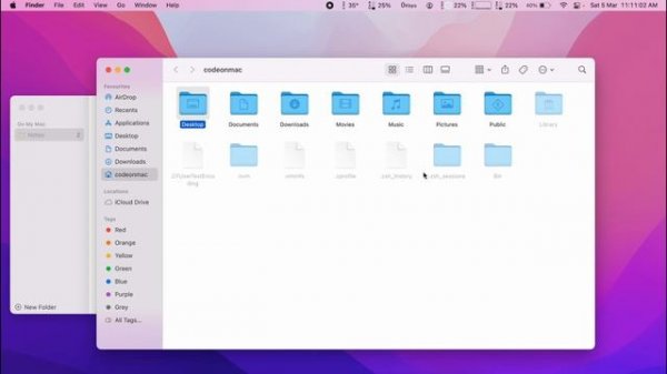 How to install nvm on Apple MacBook Air M1 macOS 2022 #howtoinstallnvm