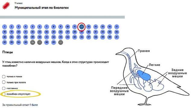 Разбор заданий олимпиады по биологии. муниципальный этап, 2020, ботаника, зоология, 7, 8, 9, 10, 11 смотреть онлайн
