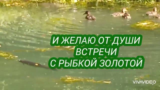 🎏С днём рыбака! смотреть онлайн