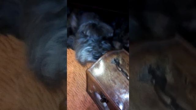 Вторая часть любопытный hammer розы смотреть онлайн