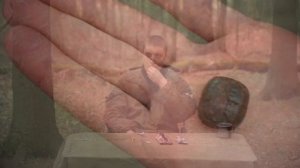 =Обзор ИРП= | сухпай Польской армии! Самый ТОПовый и большой сухой паёк! Super food!