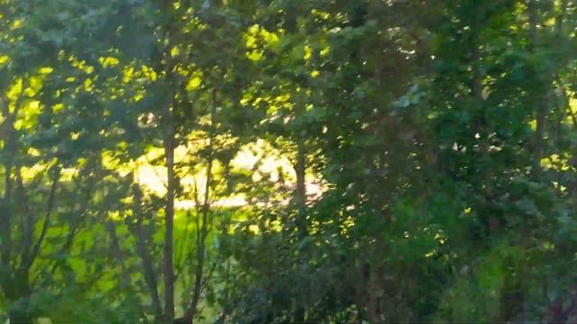 Кто-то куда-то спешит ранним утром солнышко встаёт небо голубое и красивые облака смотреть онлайн