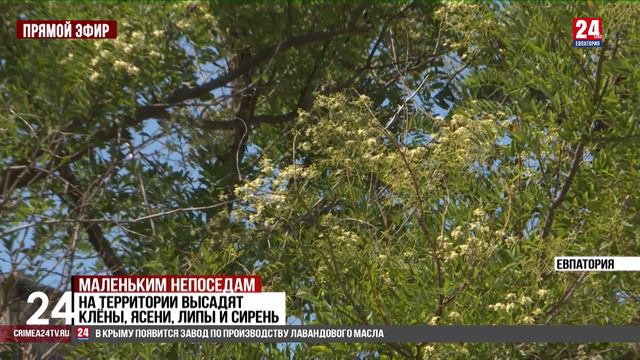 Маленьким непоседам смотреть онлайн