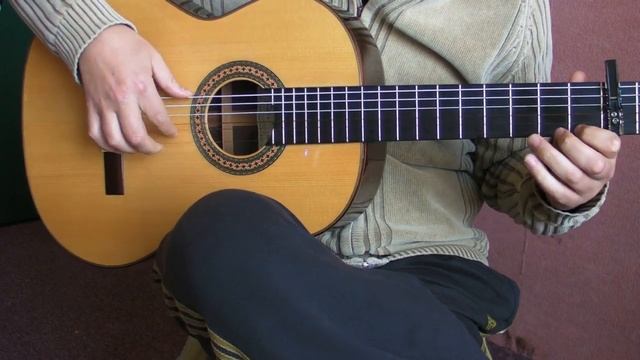 flamenco guitar - tientos смотреть онлайн