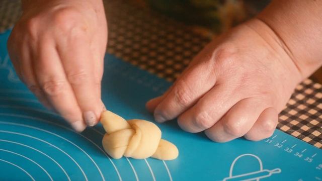 Домашние Животные и Их Уход