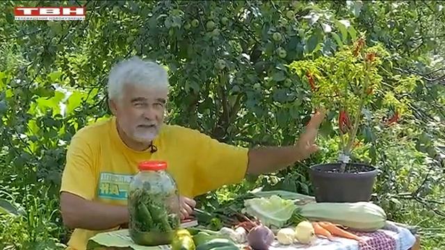 Вперед, товарищи! На дачу! Выпуск 27.07.21 г. смотреть онлайн