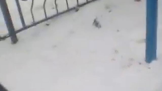 Африкантова перед ток шоу смотреть онлайн