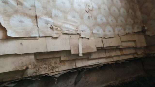 Не смогли вытянуть дачный домик из болота. смотреть онлайн