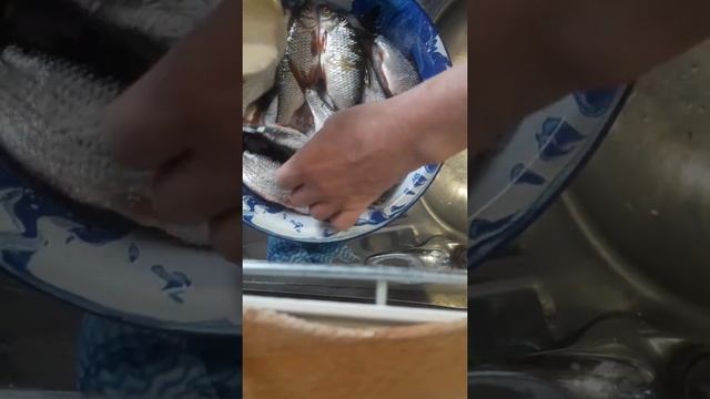Весенний чебак,засолка. смотреть онлайн