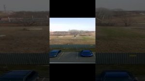 VID_20240310_145035.mp4