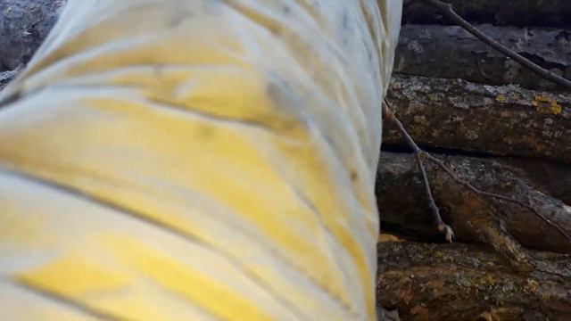 Китайский муравей с дровами смотреть онлайн