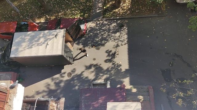 20230927 Незаконное использование нежилого помещения подвального типа смотреть онлайн