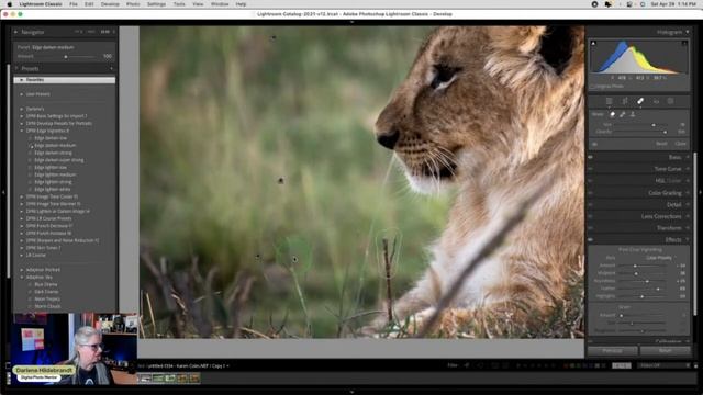 How to Edit Stunning Animal Photos From Start to Finish смотреть онлайн