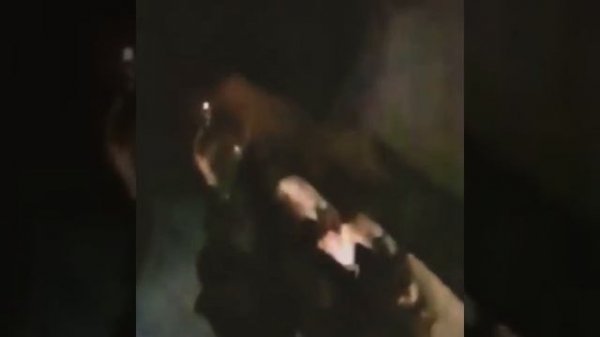 kill me \ Dead MayheM #blackmetal #mayhem #lordsofchaos #Dead