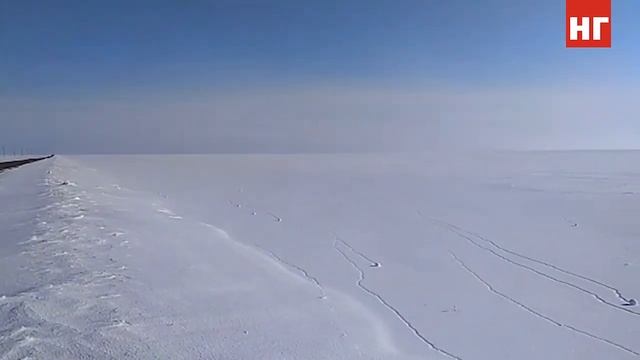 Нашествие "колобков" в торгайской степи смотреть онлайн