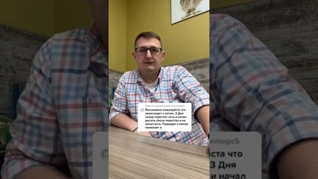 Почему кот не ест корм? смотреть онлайн