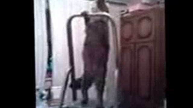 Домашний электрик смотреть онлайн