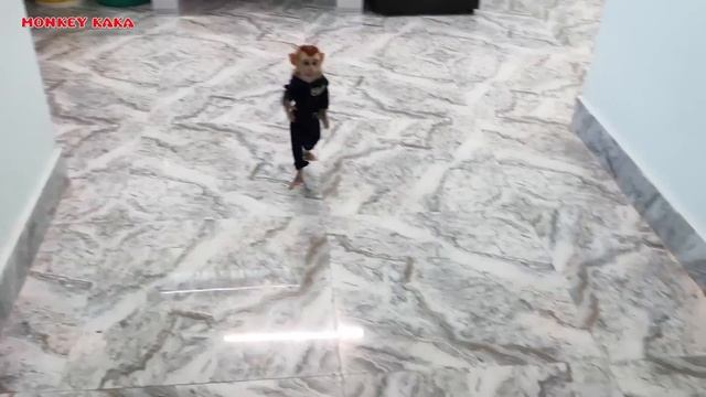 Top Seasons of Super Smart videos of Monkey KaKa смотреть онлайн