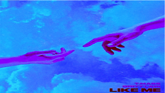 ???T-Mass & Britt Lari - Like Me???