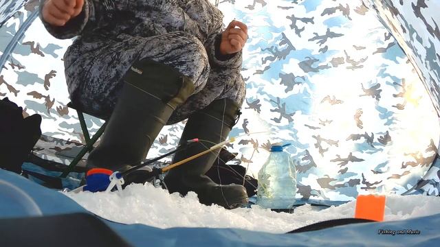 Мороз и солнце, день чудесный! и клюет! 10 февраля 2018 смотреть онлайн